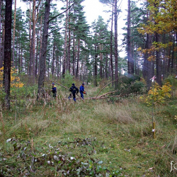 Apskats 07.-13.10.09.