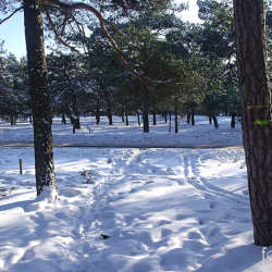 Apskats 10.-16.02.10.