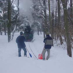 Apskats 30.12.10.