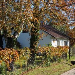 Ciklā "Muzejā viesis" tikšanās ar dzejnieci Ingu Gaili