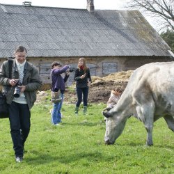 Fotoplenērs "Govju portreti"
