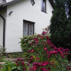 Rudens talka