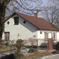 Viesu diena - H.Dorbem 125