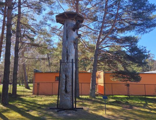 Vēstures otrdienā par seno dravniecību