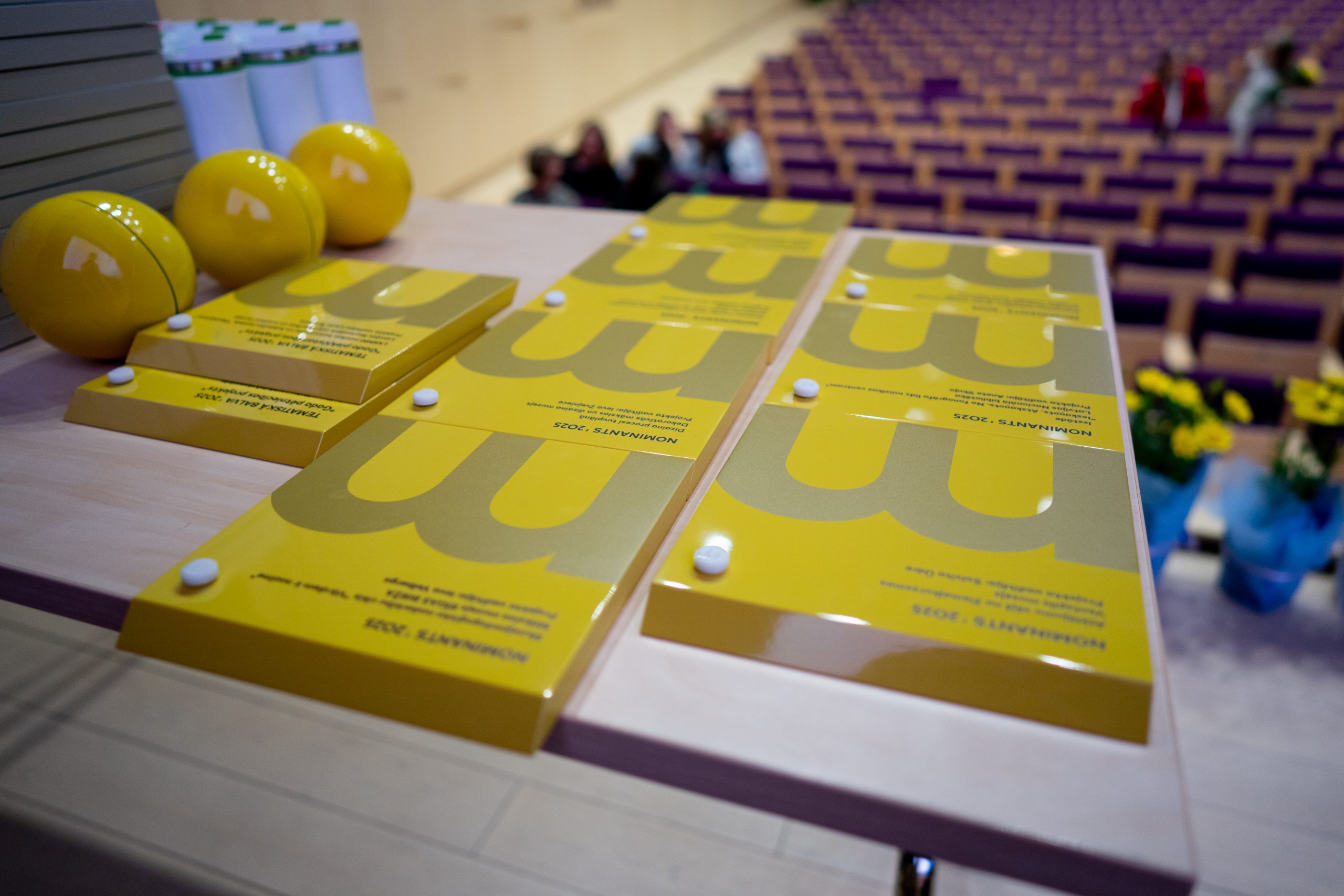 Latvijas Muzeju biedrības Gada balva 2025