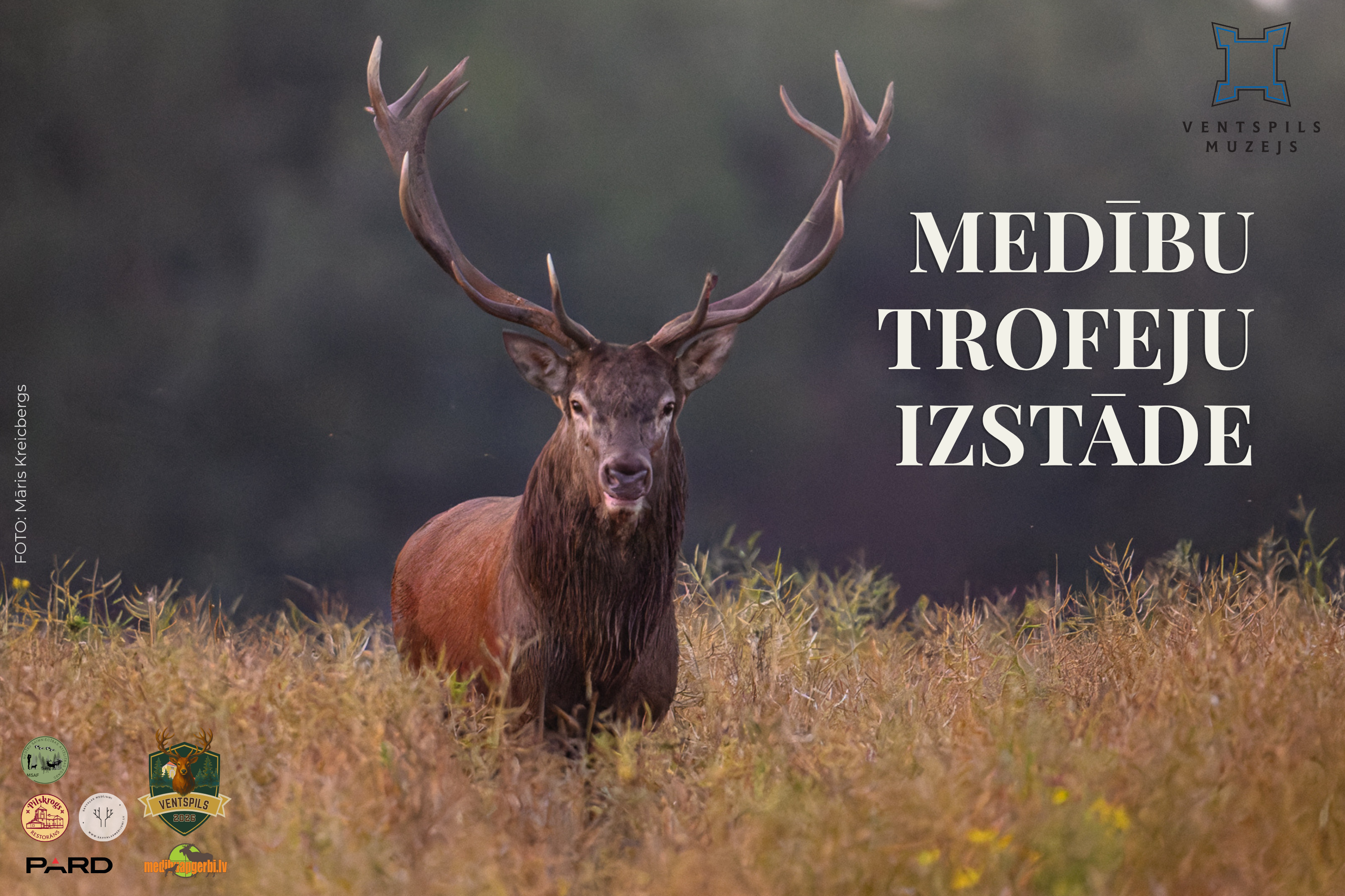 Staltbriedis