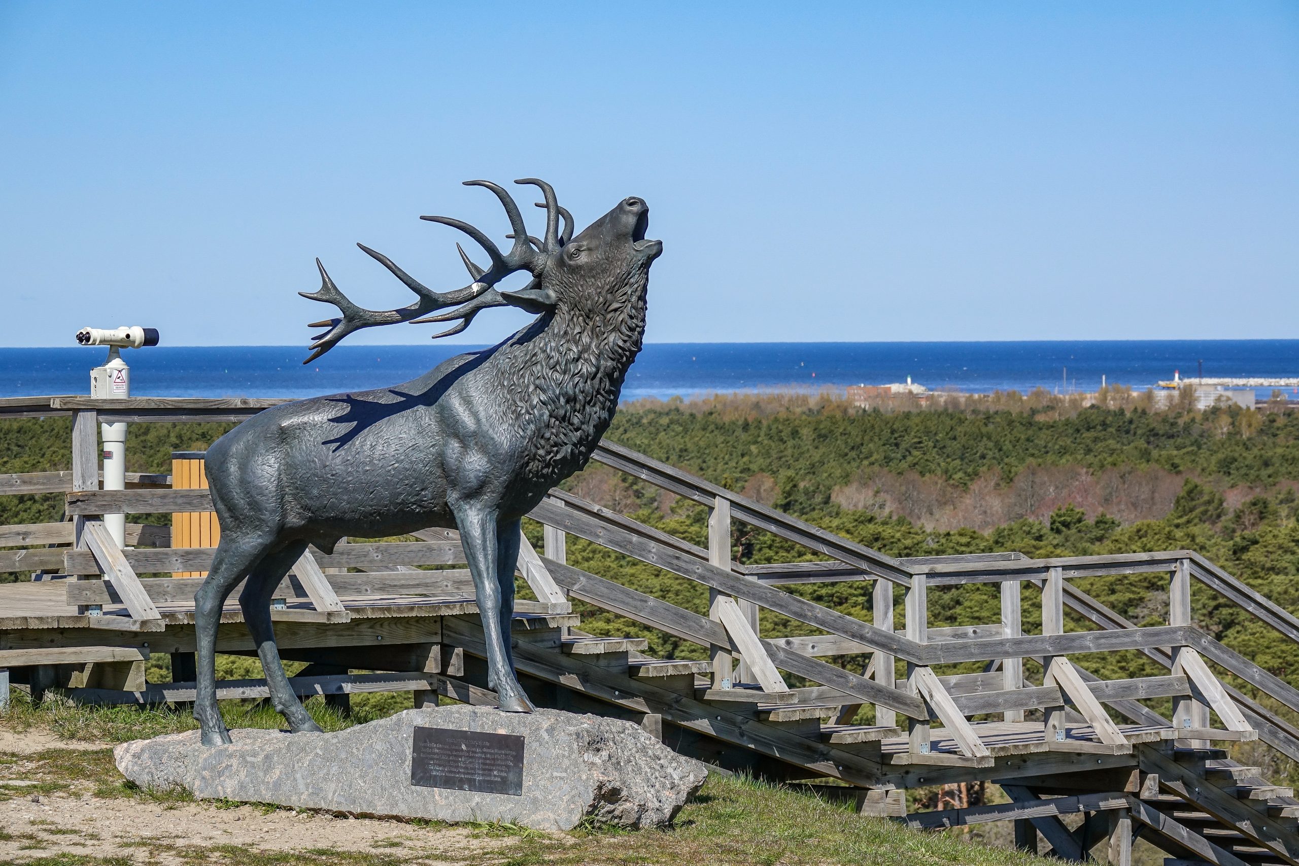 Staltbriedis Ventspils Piedzīvojumu parka kalnā