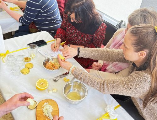 Seminārs “Dabiskais restarts ar bišu produktiem”